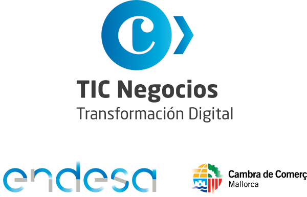 TICNegocios Mallorca Ayudas transformación online